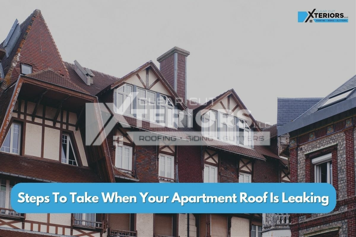 Apartment Roof Leaking