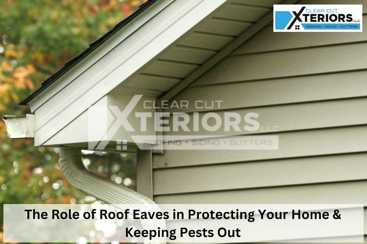 The Role of Roof Eaves in Protecting Your Home & Keeping Pests Out