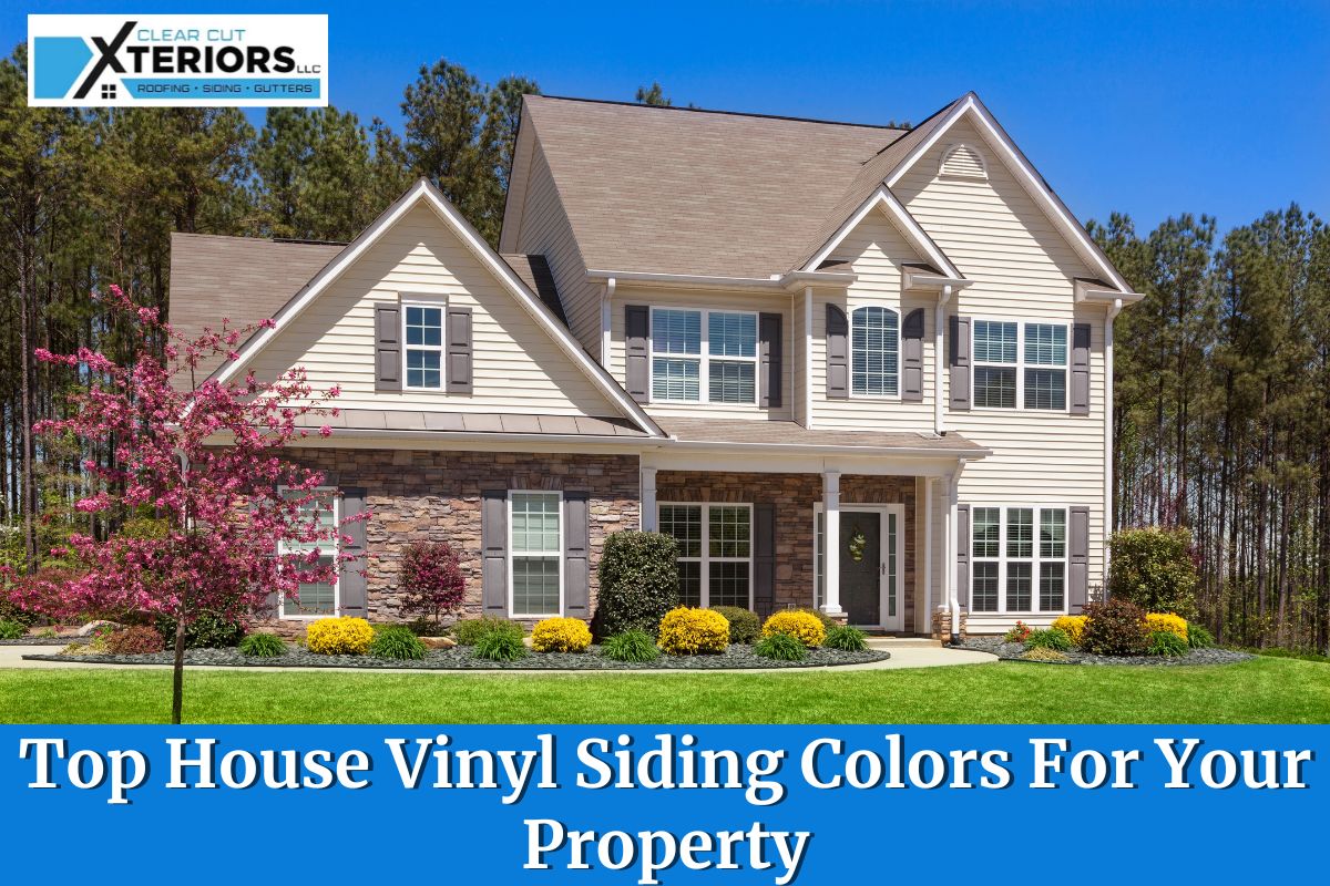 Top House Vinyl Siding Colors For Your Property