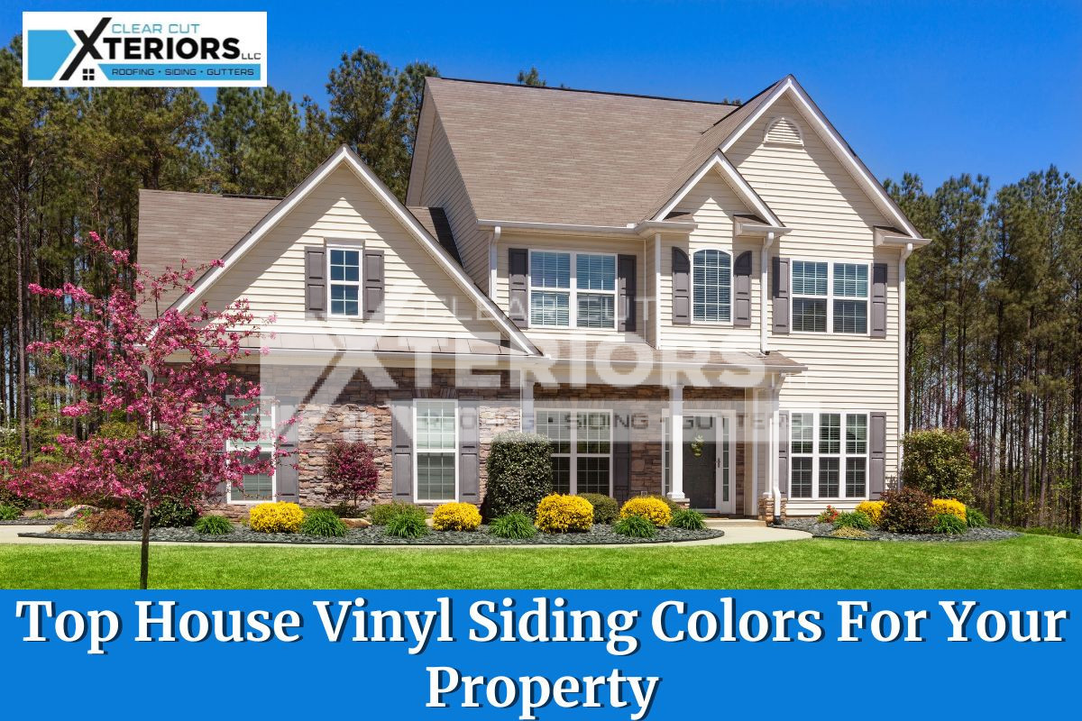 House Vinyl Siding Colors
