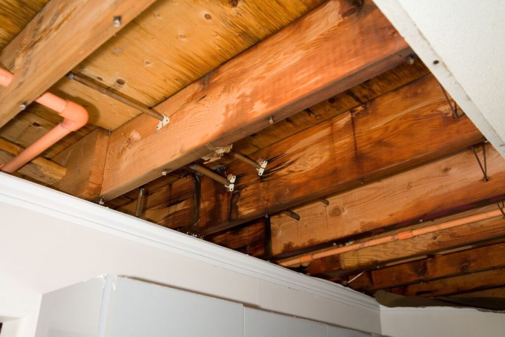 Signs Of A Roof Leak In The Attic