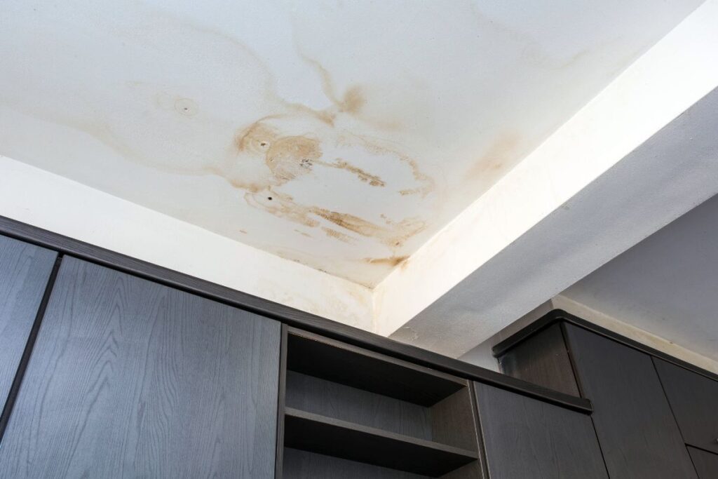 Water Stains On The Ceiling