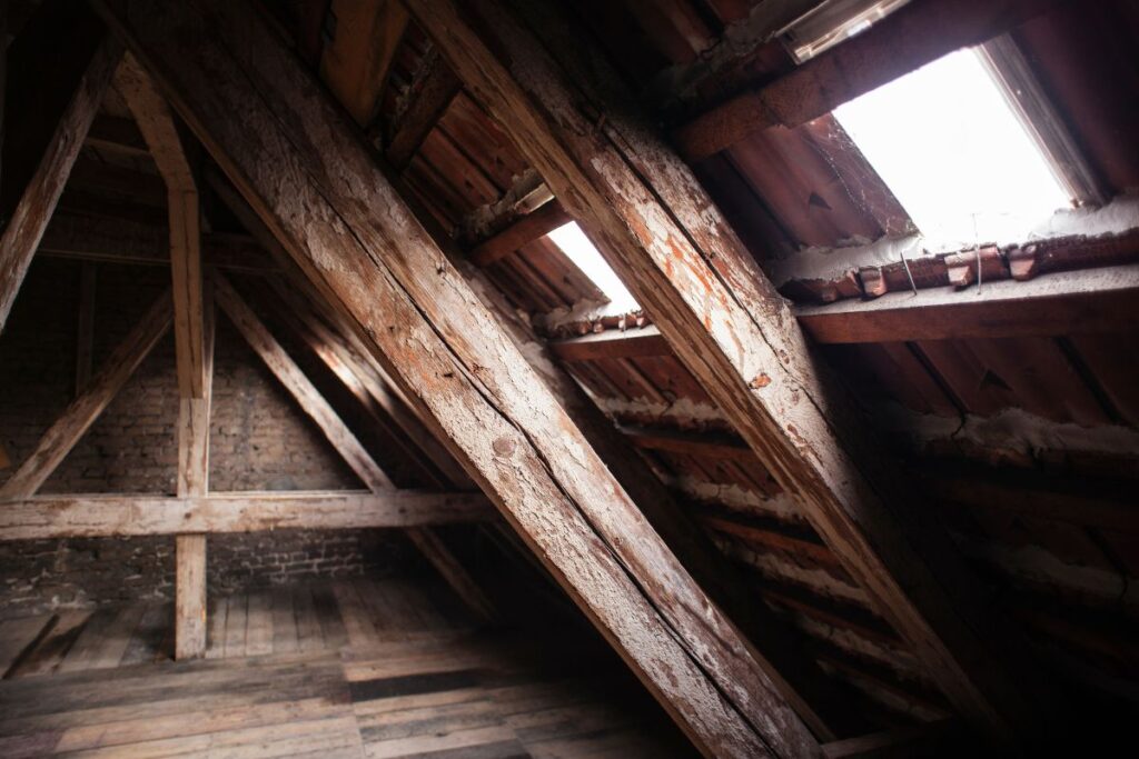 condensation in attic