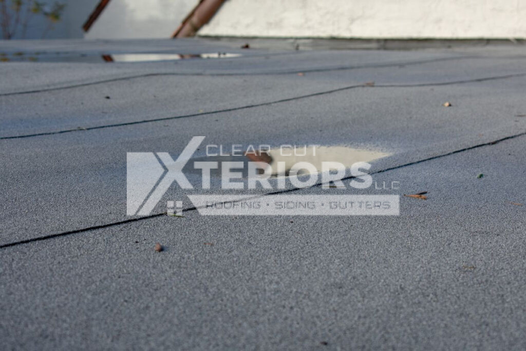 Apartment Roof Replacement Water pooling on a flat roof